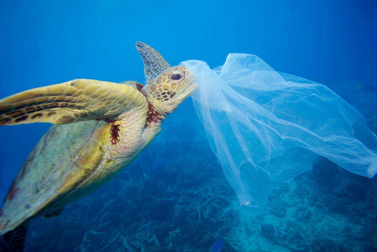 plasticos, contaminacion oceanos